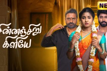 Chinna Siru Kiliye